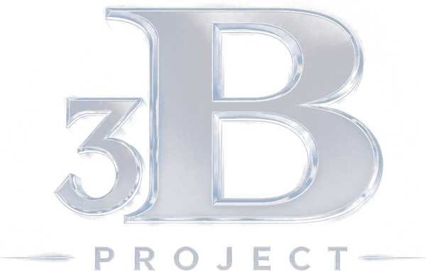 3B Project