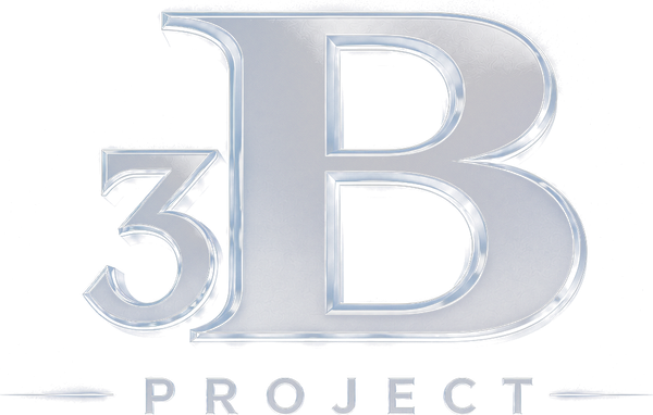 3B Project
